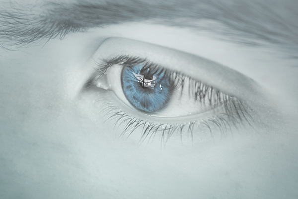 有色光环境调控眼球生长发育的研究进展